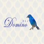 Domino（ドミノ）自由が丘店