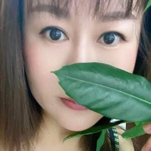 癒の郷（いやしのさと）