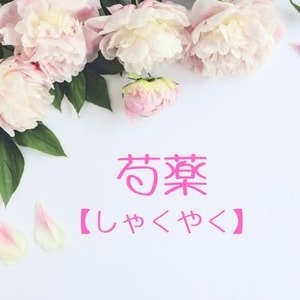 芍薬（しゃくやく）
