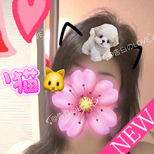 かわい猫